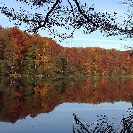 Foersterhaus Am Linowsee 펜션 라인스베르크