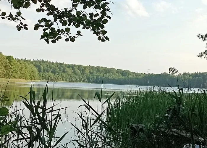 Prázdninový dům Foersterhaus Am Linowsee *