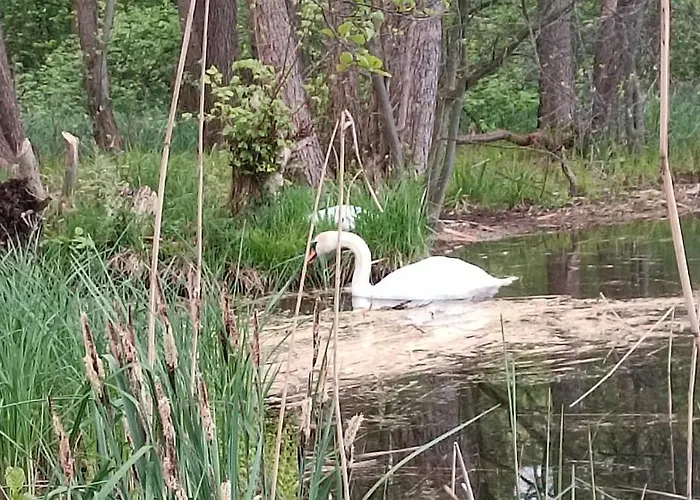 Foersterhaus Am Linowsee *
