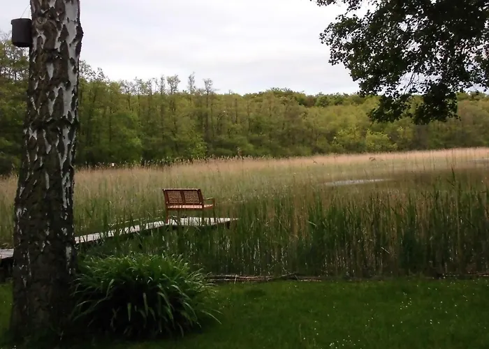 Foersterhaus Am Linowsee Rheinsberg