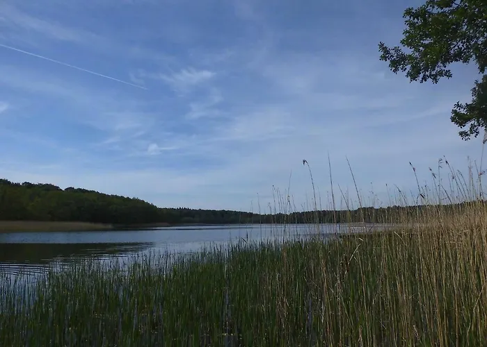Foersterhaus Am Linowsee Prázdninový dům *