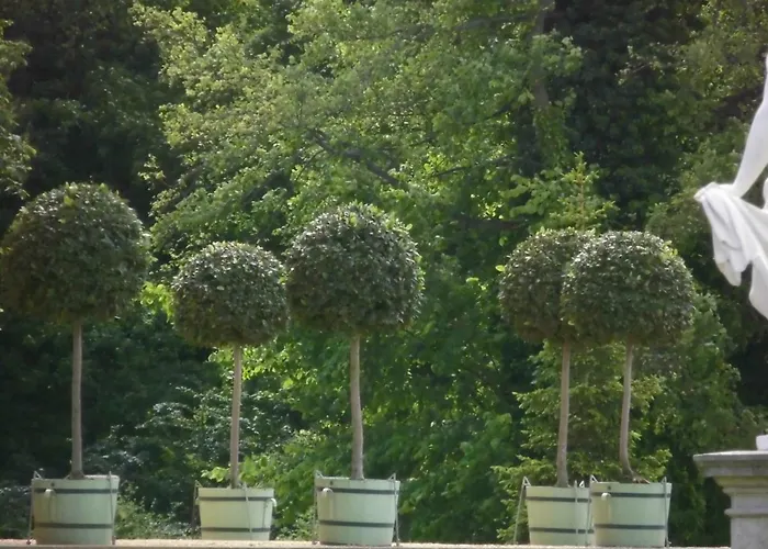 Foersterhaus Am Linowsee * Rheinsberg