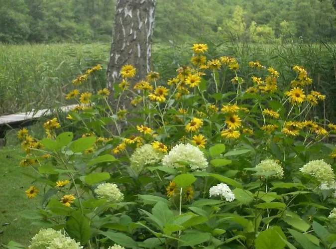 Prázdninový dům Foersterhaus Am Linowsee