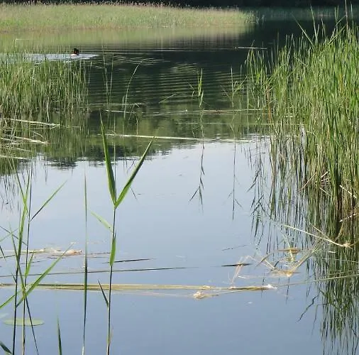 Prázdninový dům Foersterhaus Am Linowsee *