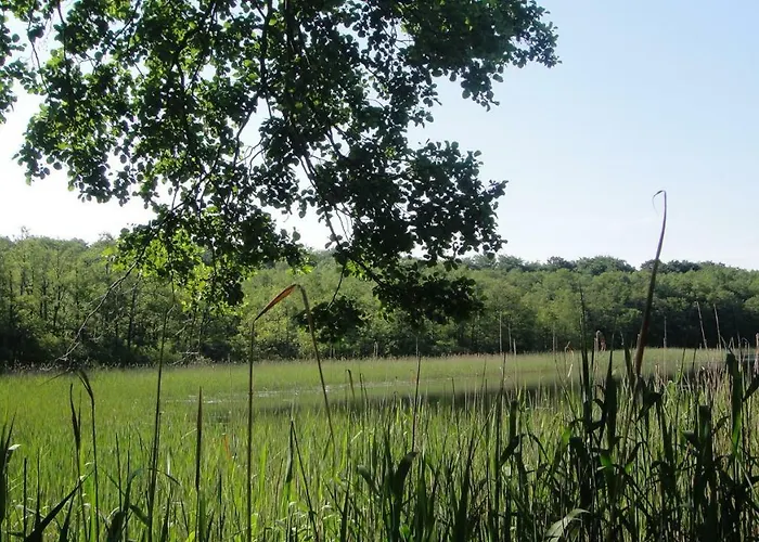 Foersterhaus Am Linowsee *