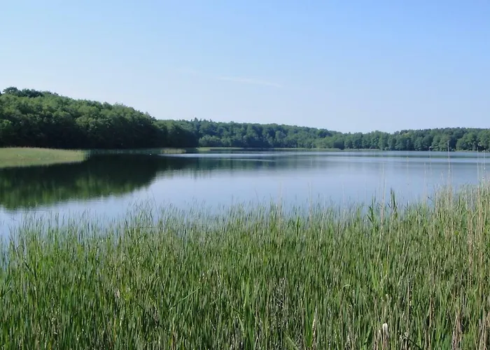 Foersterhaus Am Linowsee