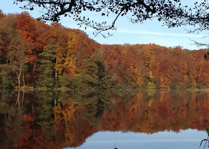 Foersterhaus Am Linowsee Prázdninový dům Rheinsberg