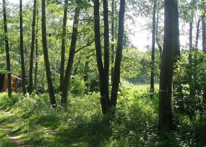 Foersterhaus Am Linowsee