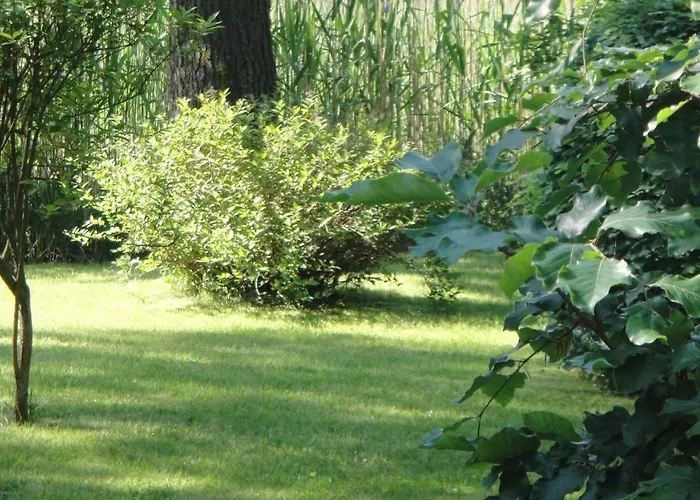 Prázdninový dům Foersterhaus Am Linowsee *